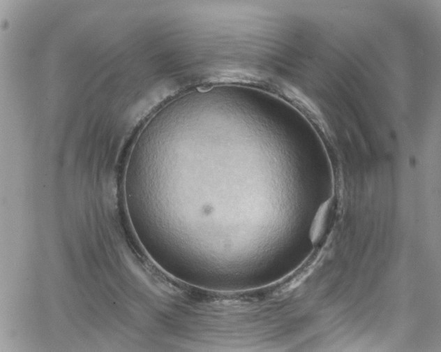 X0000066090298200603171102