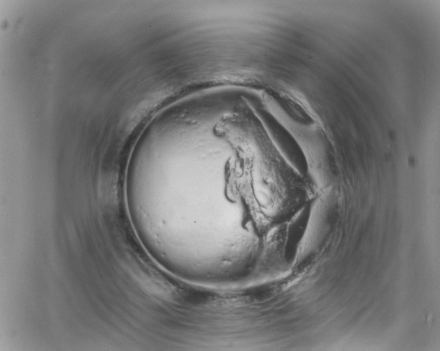 X0000066090299200603171102