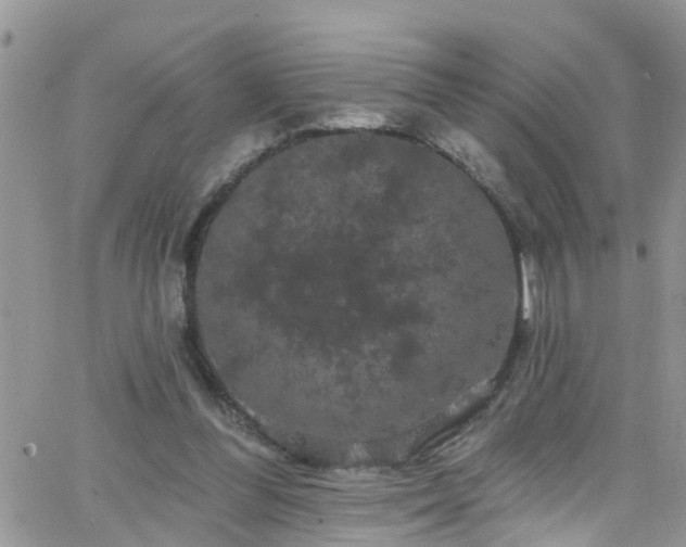 X0000066090300200603171102