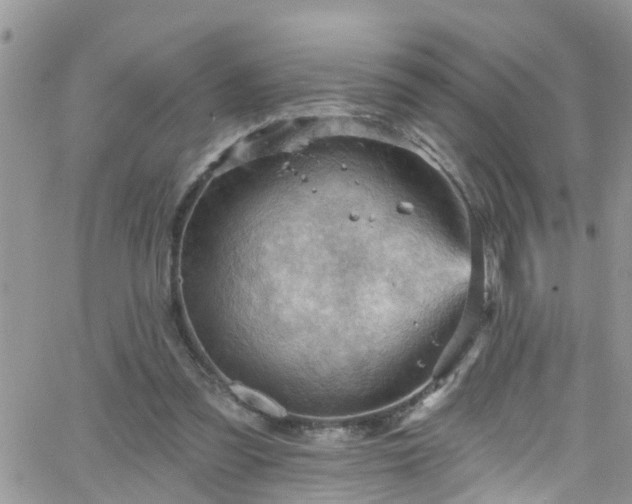 X0000066090301200603171102