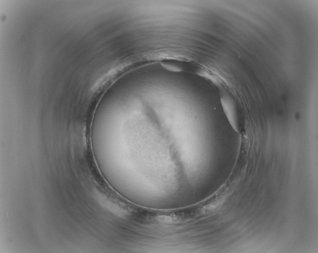 X0000066090302200603171102