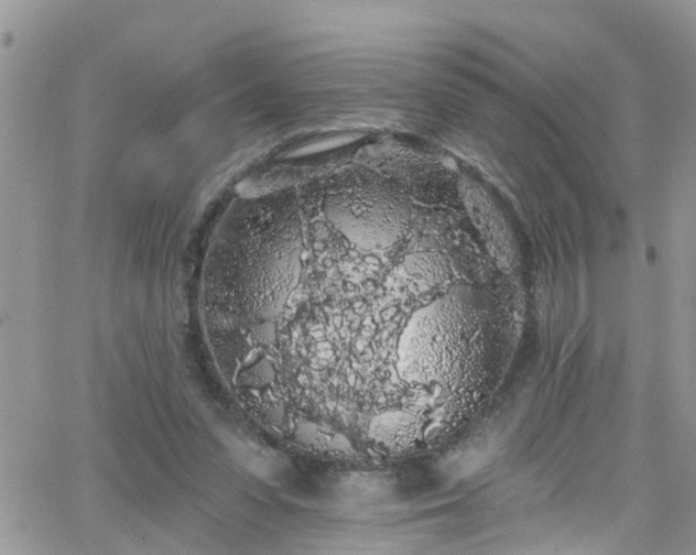 X0000066090303200603171102