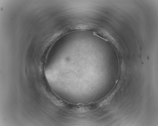 X0000066090305200603171102