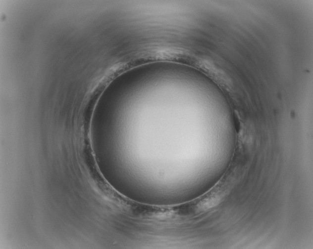 X0000066090306200603171102