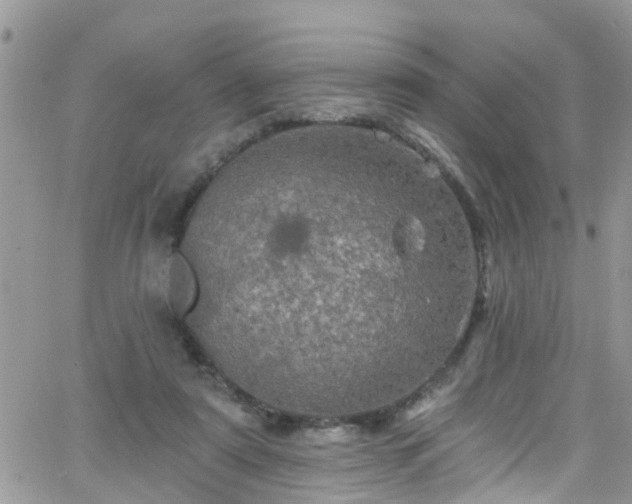 X0000066090307200603171102