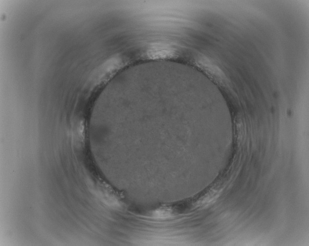 X0000066090308200603171102