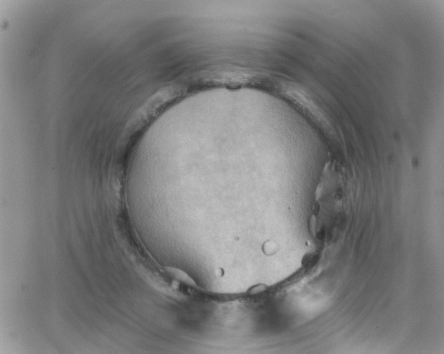 X0000066090309200603171102