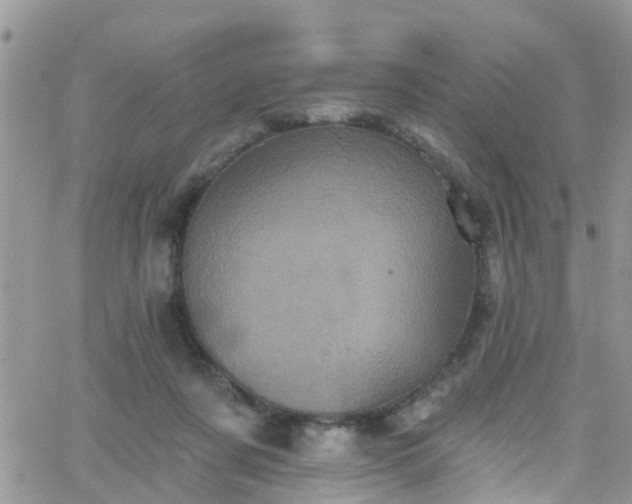 X0000066090311200603171102