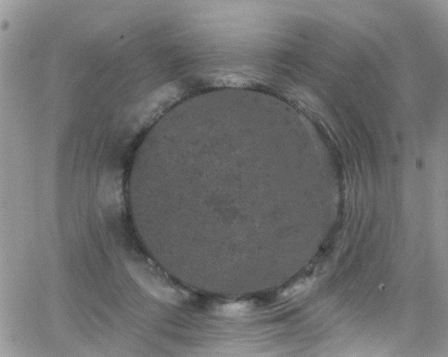 X0000066090312200603171102