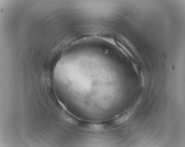 X0000066090313200603171102