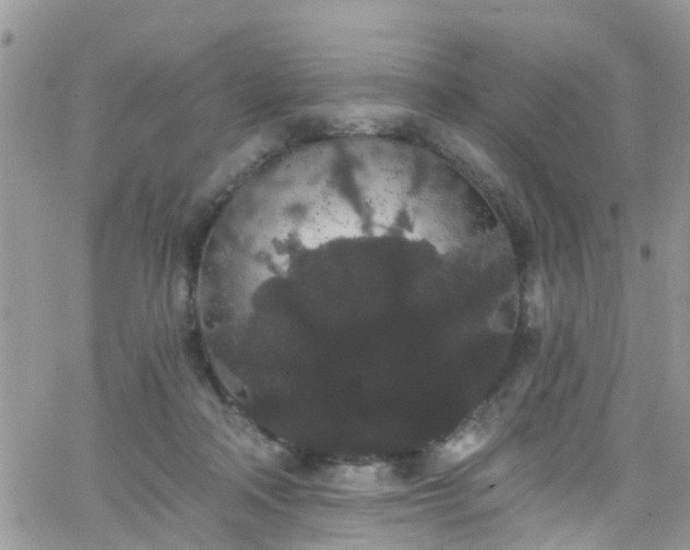 X0000066090314200603171102