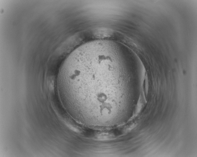 X0000066090315200603171102