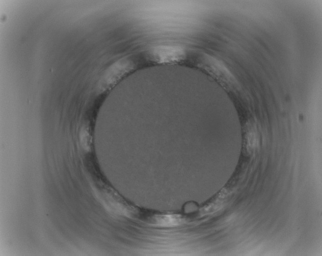 X0000066090316200603171102