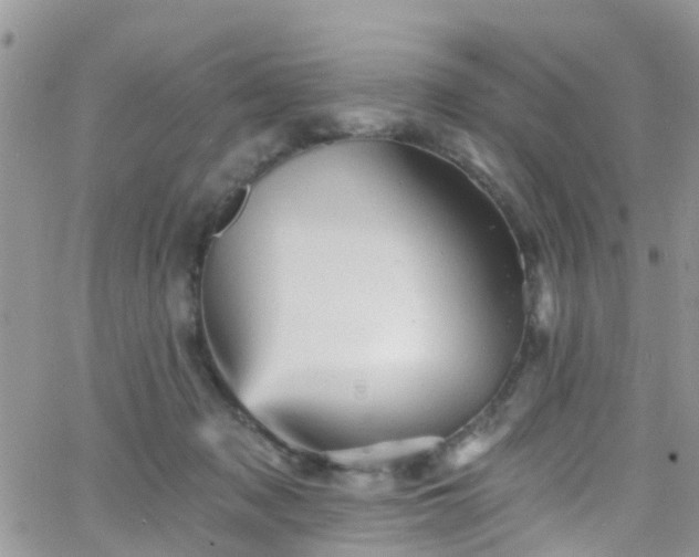 X0000066090317200603171102