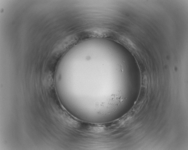 X0000066090318200603171102