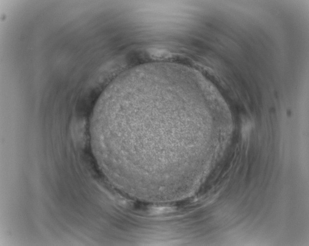 X0000066090319200603171102