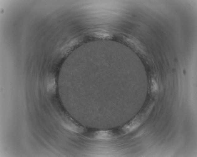 X0000066090320200603171102