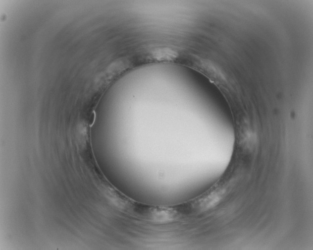 X0000066090321200603171102