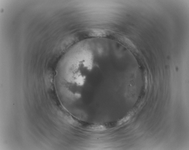 X0000066090322200603171102