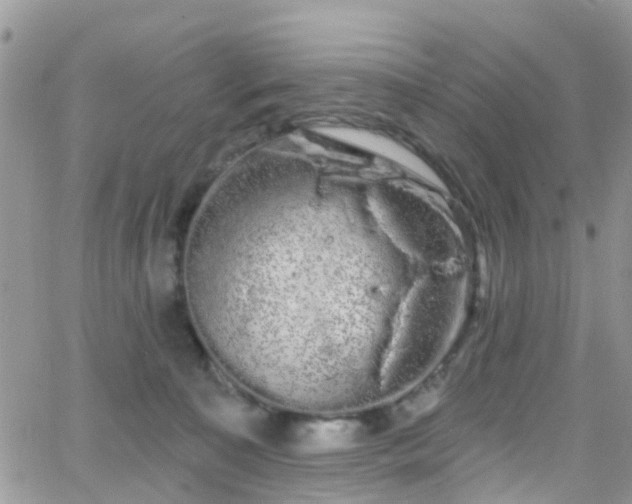 X0000066090323200603171102