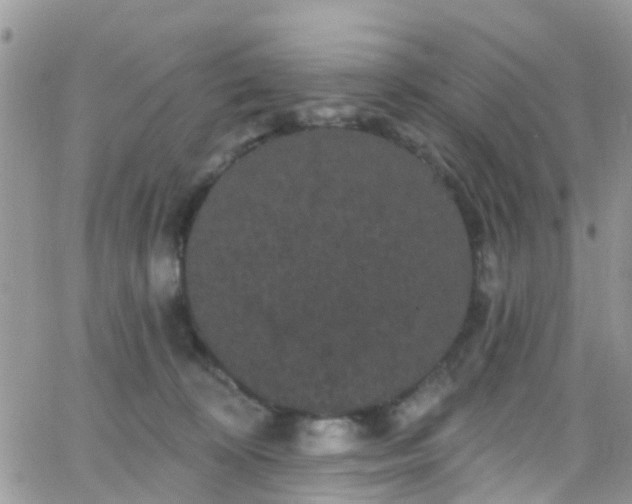 X0000066090324200603171102