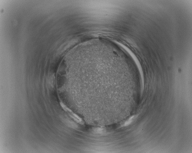 X0000066090325200603171102