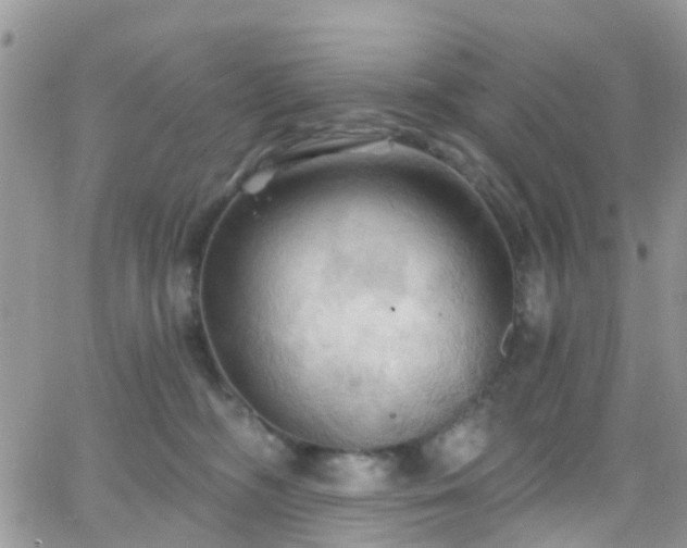 X0000066090326200603171102