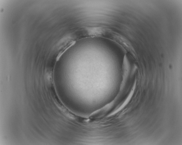 X0000066090329200603171102