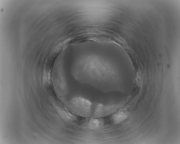 X0000066090330200603171102