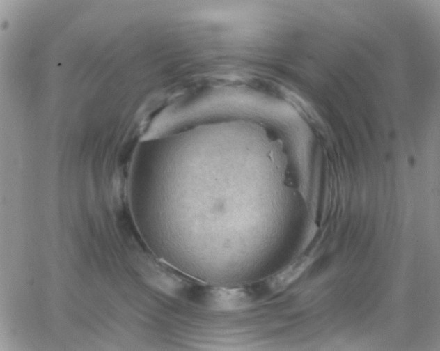 X0000066090333200603171102