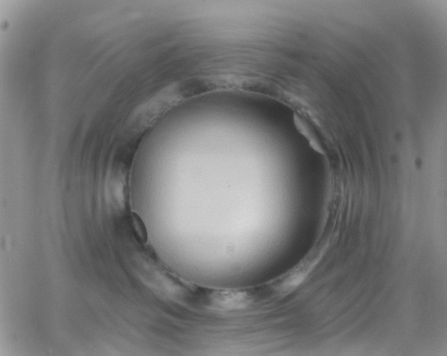 X0000066090334200603171102