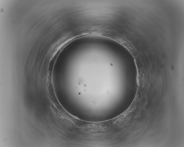 X0000066090338200603171101