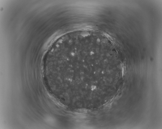 X0000066090339200603171101