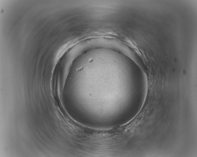 X0000066090340200603171101