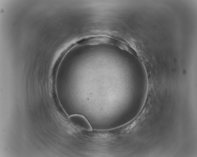 X0000066090342200603171101