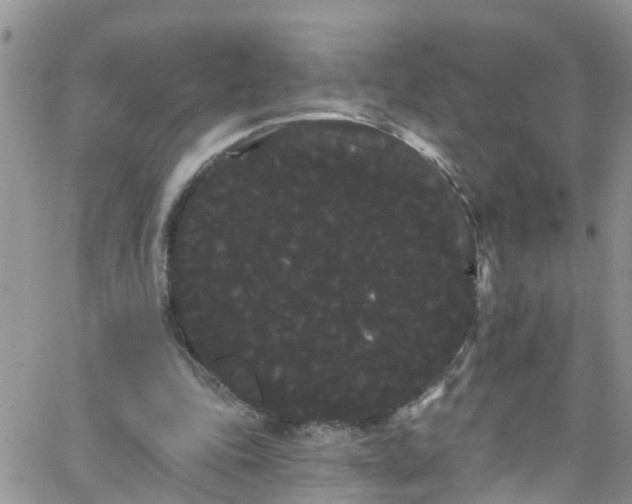 X0000066090343200603171101