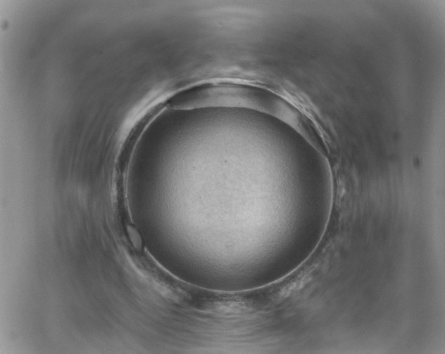 X0000066090344200603171101