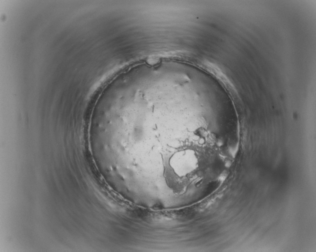 X0000066090346200603171101