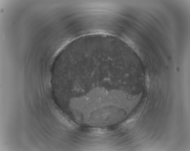 X0000066090347200603171101