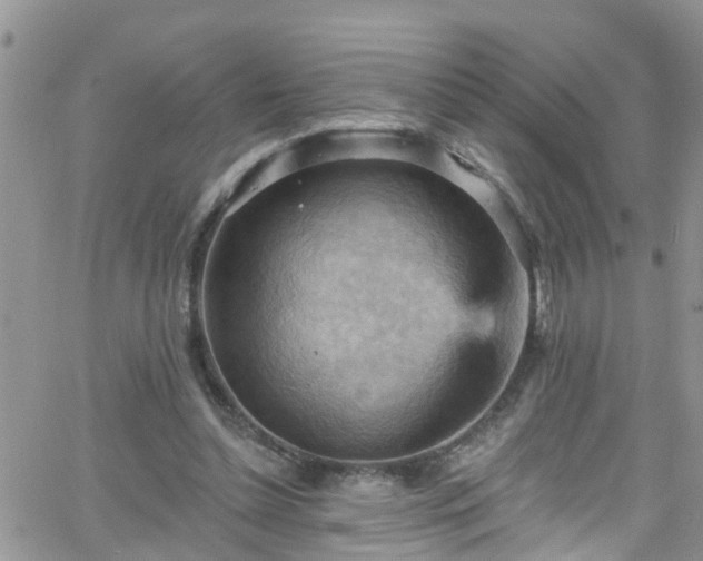 X0000066090348200603171101