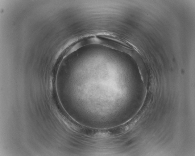 X0000066090350200603171101