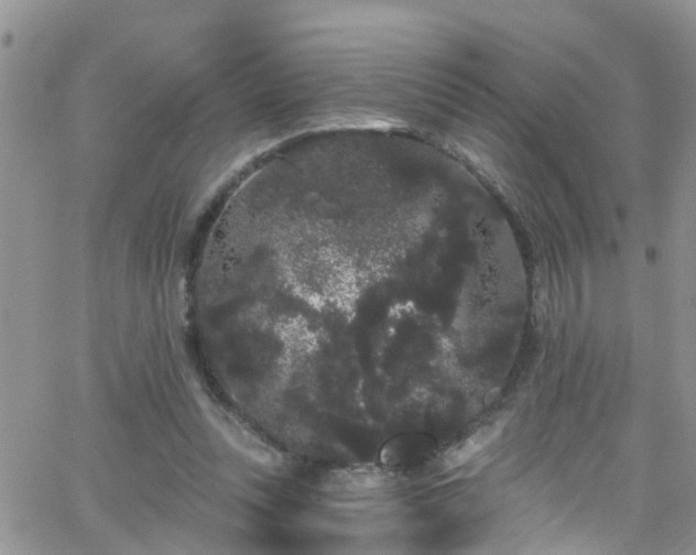 X0000066090351200603171101