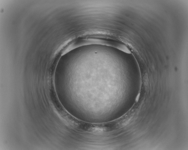 X0000066090352200603171101