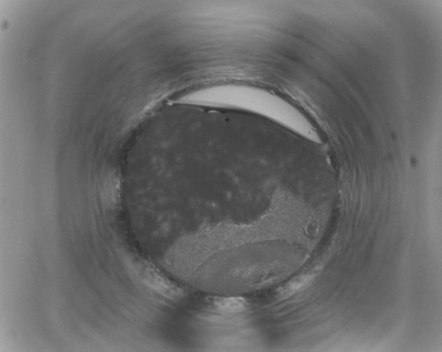 X0000066090355200603171101