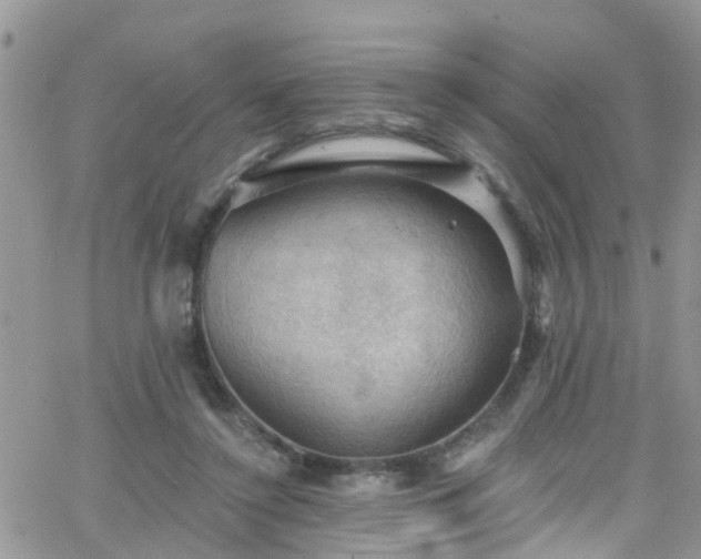 X0000066090356200603171101