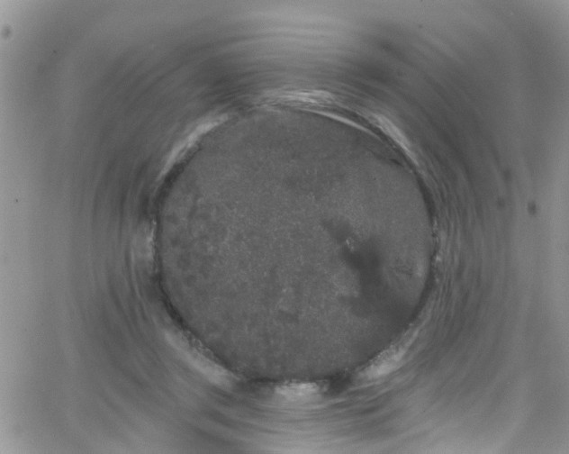 X0000066090357200603171101