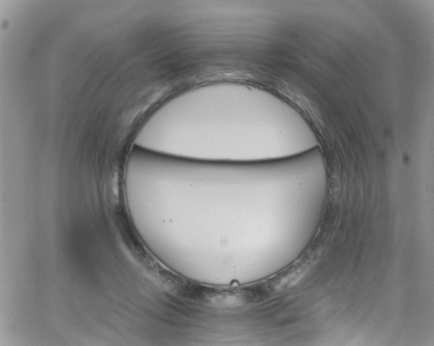 X0000066090358200603171101