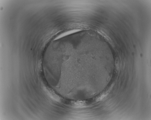 X0000066090359200603171101