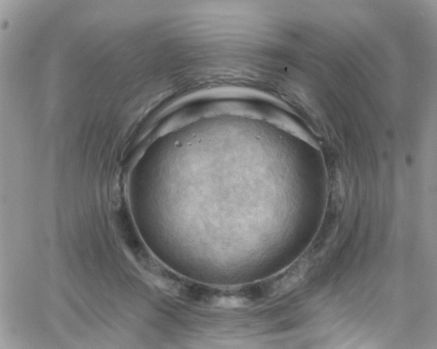 X0000066090360200603171101