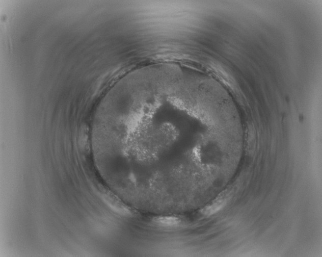 X0000066090361200603171101